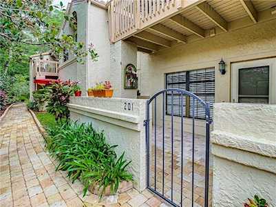 201 Los Prados Dr Safety Harbor, FL 34695
