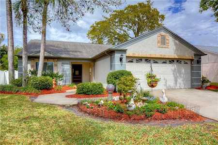 3075 Sumner WAY Palm Harbor, FL 34684