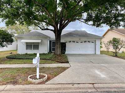 2947 Cara Ct Palm Harbor, FL 34684
