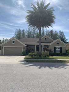 1025 Maravista Dr Trinity, FL 34655