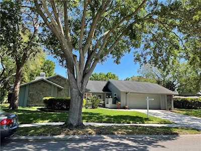 410 Holly Hill Rd Oldsmar, FL 34677