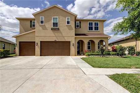 1981 Hidden Springs Dr Trinity, FL 34655