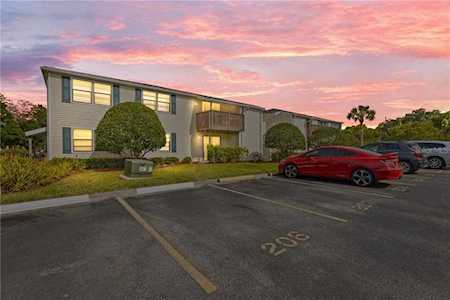 129 Camphor CIRCLE #E Oldsmar, FL 34677