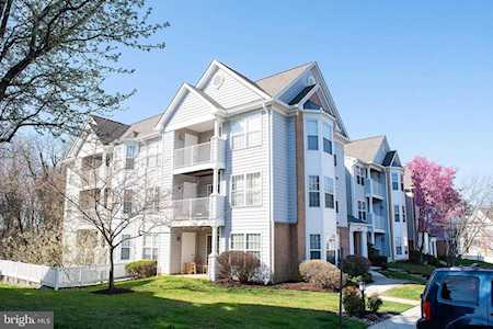 2013 Gov Thomas Bladen Way #303 Annapolis, MD 21401