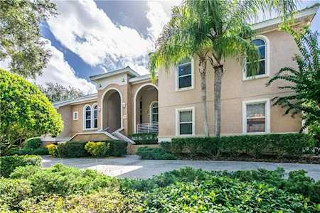 1146 Skye Ln Palm Harbor, FL 34683