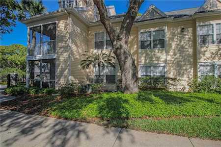 3325 Haviland Ct #202 Palm Harbor, FL 34684