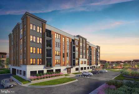 3507 Bellflower Ln #4 Rockville, MD 20852