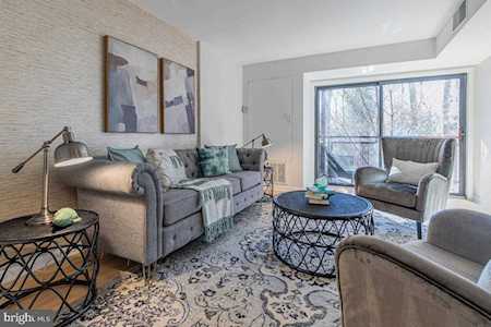 7611 Maple Ave #510 Takoma Park, MD 20912