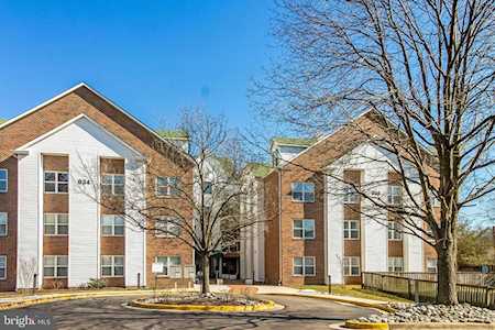 936 Bay Ridge Ave #206 Annapolis, MD 21403