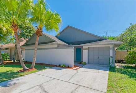 11929 Hickorynut Dr Tampa, FL 33625