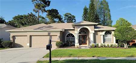 4467 Worthington Ct Palm Harbor, FL 34685