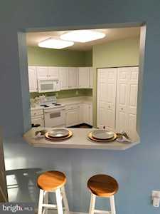 6125B Springwater Place Frederick, MD 21701