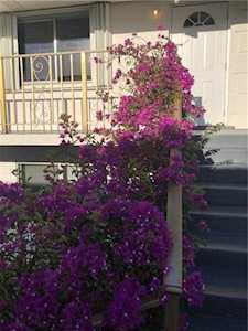 444 W Palmetto Park Rd #201C Boca Raton, FL 33432
