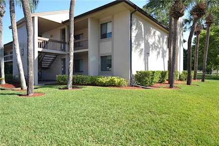 231 Mary Dr #7 Oldsmar, FL 34677
