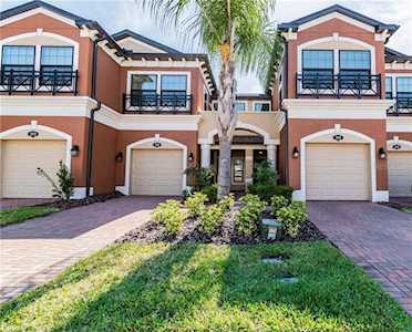 1962 Milkweed TRACE Lutz, FL 33558