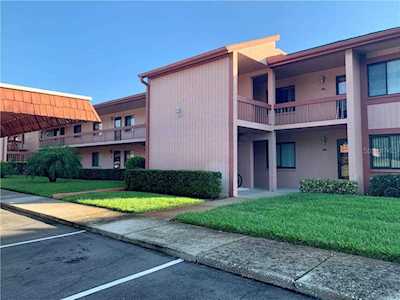 141 Lakeside Dr Oldsmar, FL 34677