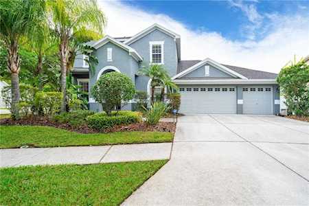 6611 Buckingham Palms WAY Tampa, FL 33647
