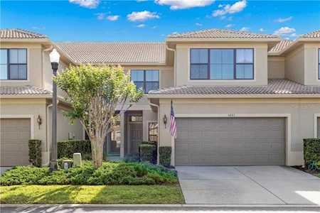 4887 Silverback Ct Palm Harbor, FL 34684