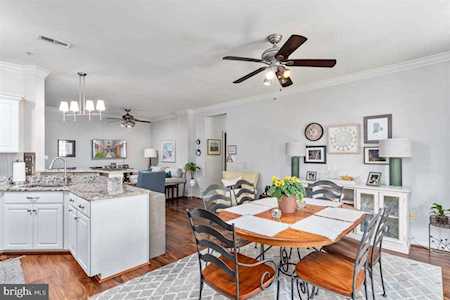 502 Mathias Hammond Way #101 Annapolis, MD 21401
