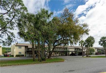 4533 Marine PARKWAY #103 New Port Richey, FL 34652
