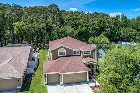 13033 Royal George Ave Odessa, FL 33556