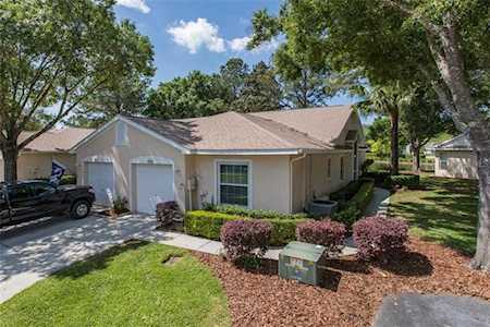 4476 Connery Ct Palm Harbor, FL 34685