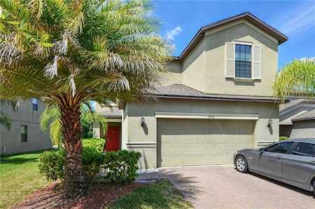 19914 Satin Leaf Ave Tampa, FL 33647