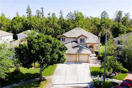 19117 Cypress Green Dr Lutz, FL 33558