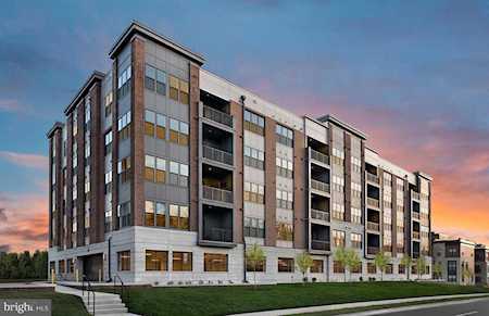 3507 Bellflower Ln #30104 Rockville, MD 20852