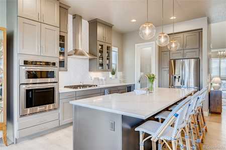 10417 Maplebrook Way Highlands Ranch, CO 80126