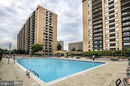 3709 George Mason Dr #208E Falls Church, VA 22041