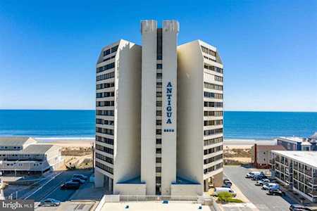 8500 Coastal Hwy #204 Ocean City, MD 21842