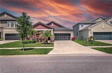 11004 Little Blue Heron Dr Riverview, FL 33579