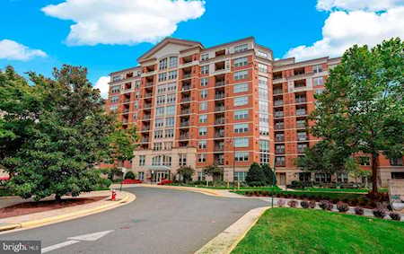 11760 Sunrise Valley Dr #116 Reston, VA 20191