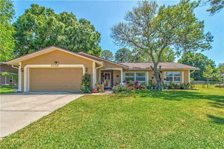 9226 Nile Dr New Port Richey, FL 34655