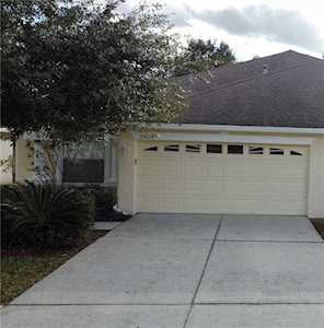 31834 Turkeyhill Dr Wesley Chapel, FL 33543