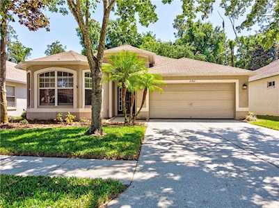 21902 Waverly Shores Ln Land O Lakes, FL 34637