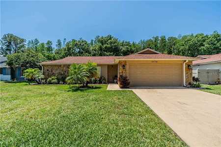 5374 Black Pine Dr Tampa, FL 33624