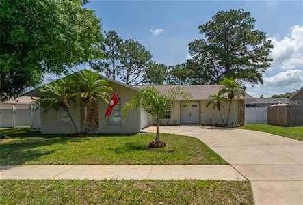 5030 Gardendale Ln New Port Richey, FL 34653