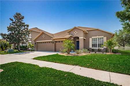 17842 Souter Ln Land O Lakes, FL 34638