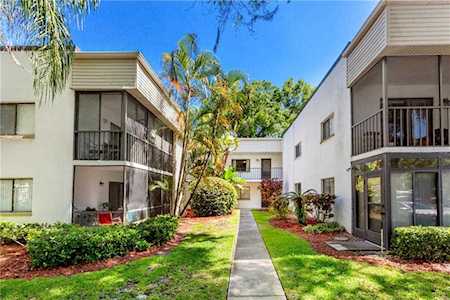 2375 Fox Chase Blvd #248 Palm Harbor, FL 34683