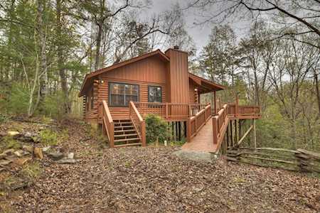 119 Little Beaver Drive Cherry Log, GA 30522