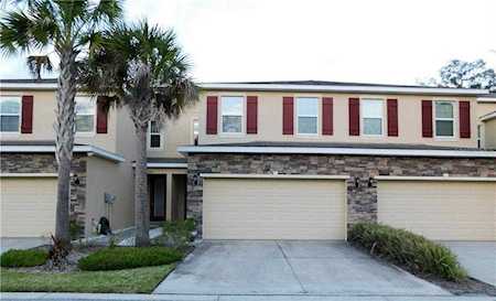 13207 Canopy Creek Dr Tampa, FL 33625