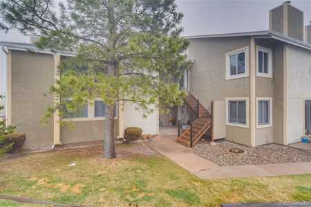 1030 Magic Lamp Way #5E Monument, CO 80132