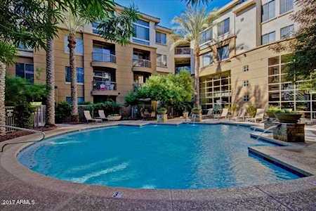 1701 E Colter Street #252 Phoenix, AZ 85016