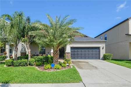11024 Little Blue Heron Dr Riverview, FL 33579