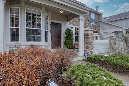 7339 Norfolk Place Castle Pines, CO 80108