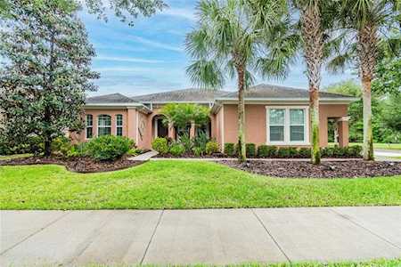 15913 Persimmon Grove Dr Lithia, FL 33547