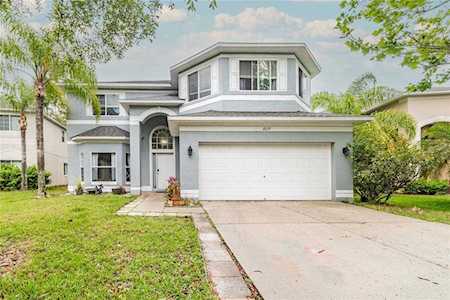 18219 Sandy Pointe Dr Tampa, FL 33647