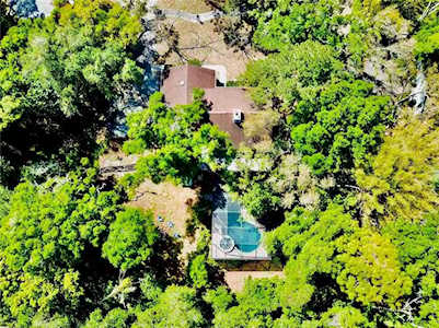 1860 Salem Ct Dunedin, FL 34698